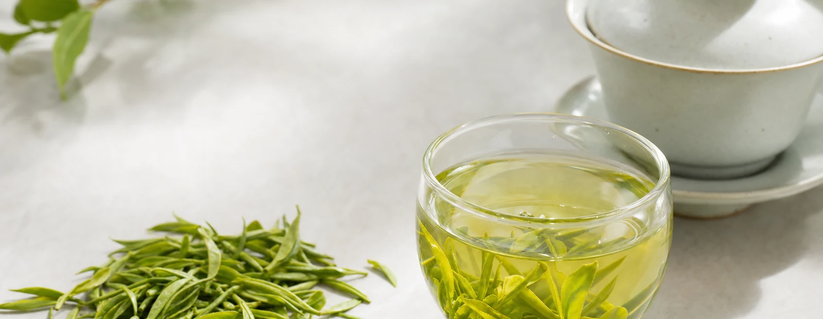 Realistic green tea hero photograph with tea leaves, brewed liquor, and teaware.