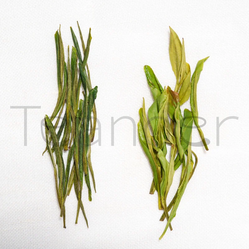 Anji Bai Cha (Anji White) offer from Teander