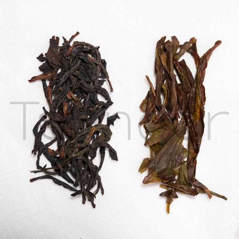 Phoenix Dancong Mi Lan Xiang (Honey Orchid Aroma) offer from Teander