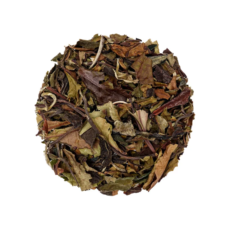 Bai Mu Dan (White Peony) offer from Tejo Tea House