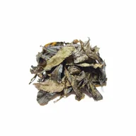Bancha (Common-Grade Sencha) offer from Yunomi